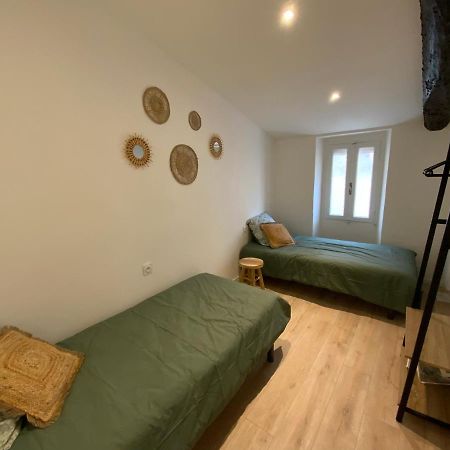 Tres Bel Appartement Refait A Neuf 佩皮尼昂 外观 照片