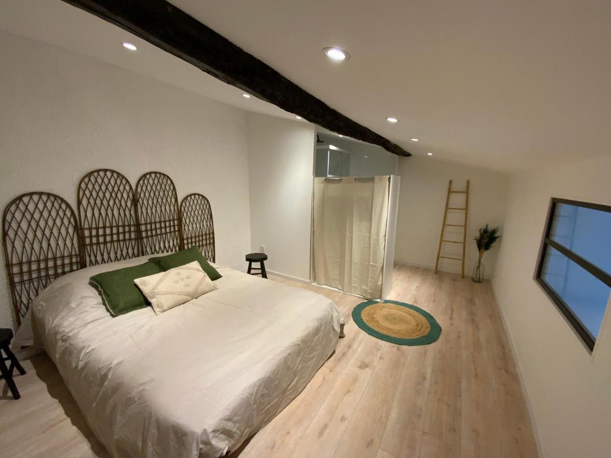 Tres Bel Appartement Refait A Neuf 佩皮尼昂 外观 照片